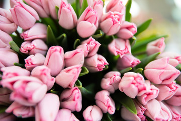 Obraz premium Flowers