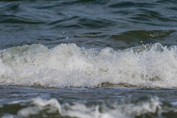 Usedom baltic sea nature outdoor