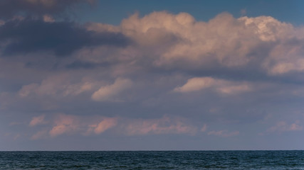 Obraz premium Usedom baltic sea nature outdoor