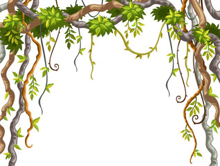 Fototapeta premium Liana branches and tropical leaves on white background. Cartoon frame plants of jungle with space for text. Isolated vector illustration.