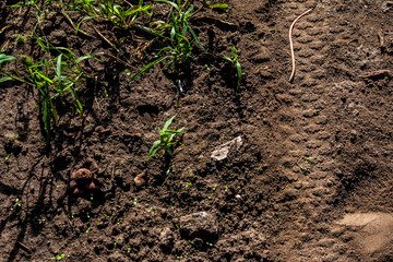 Traccie di bicicletta