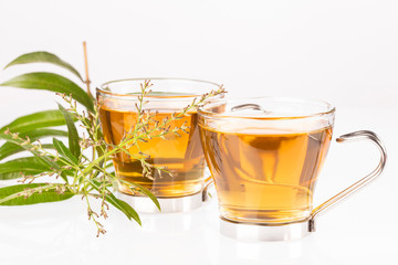 Tea with lemon verbena - Aloysia citrodora. White background