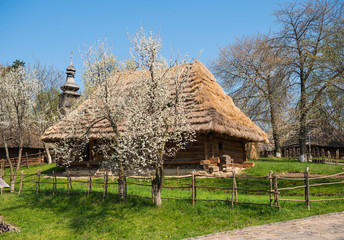 Fototapeta na wymiar Old wooden house with thatched roof in spring time