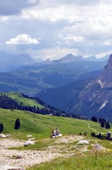 Fototapeta na wymiar Dantercerpies in den Dolomiten