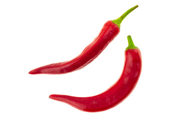 pair bright red chilli peppers long twisted pod on white isolated background culinary background