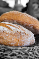 tinted basket wicker contrasting brown round fresh bread close-up design base
