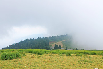 Fototapeta na wymiar Low clouds on the mountain Mottarone, Italy