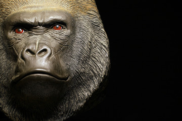 gorilla head dark background 