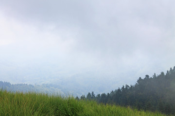 Obraz premium Low clouds on the mountain Mottarone, Italy