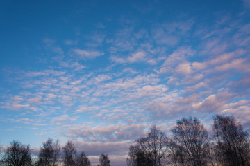 Beautiful bright clouds on the blue March sky in the spring day.