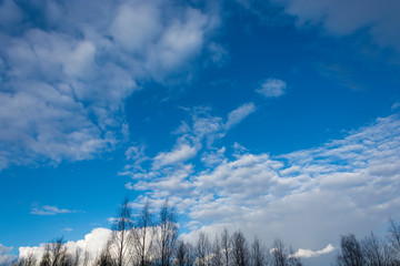 Beautiful bright clouds on the blue March sky in the spring day.