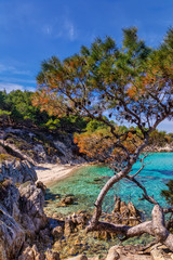 Kavourotrypes or Orange is a small beaches in Sithonia, Chalkidiki, Greece