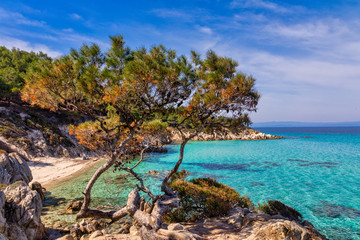 Obraz premium Kavourotrypes or Orange is a small beaches in Sithonia, Chalkidiki, Greece