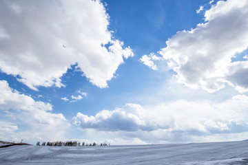 Obraz premium Scenic view of Spring in Biei Hokkaido Japan