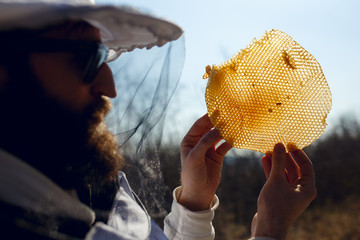 Close up of a beekeeper holding in hand a fragment at empty new honeycomb. Healthy natural food.