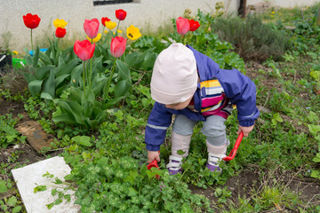 Small girl exploring the garden and helping with spring cleaning.