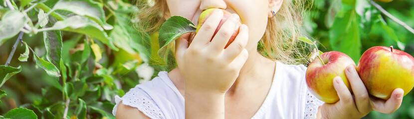Child with an apple. Selective focus. Garden.