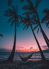 Hammock between two palms epic sunset watching. Hawaii, Oahu, Maui, Kauai. Paradise, Peaceful