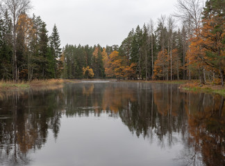 Fototapeta na wymiar Swedish river and natural salmon area in autumn. Farnebofjarden national park in Sweden.