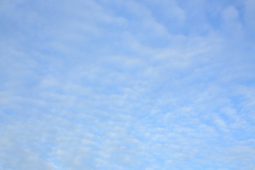 fluffy white cloud on clear blue sky