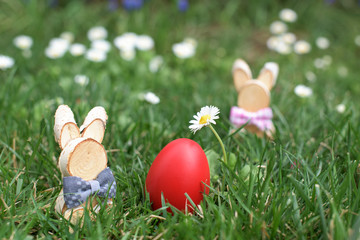 Easter Bunny and red hen Easter egg in a grass