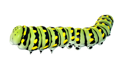 3D Rendering Worm Caterpiller on White