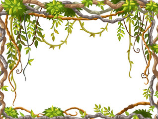 Liana branches and tropical leaves on white background. Cartoon frame plants of jungle with space for text. Isolated vector illustration. 