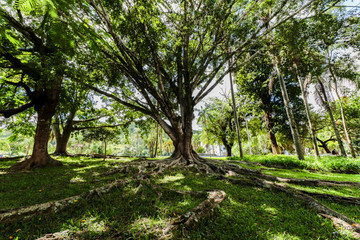 praça