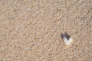 沖縄県 伊江島 ハート型のサンゴ