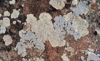 Beautiful patterns and colors on the rocks from natural corrosion for background