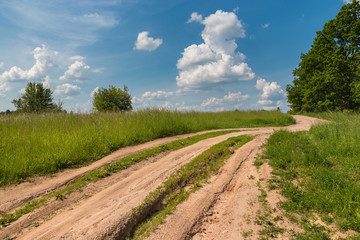 Dry dirt road in the green field at sunny summer day