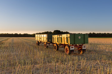Fototapeta premium Leere, grüne Heuwagen stehen im Sonnenlicht auf dem Feld