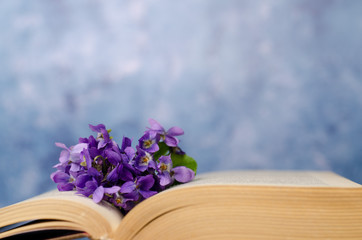 Vintage romantic background with old book, violet flowers and copy space.