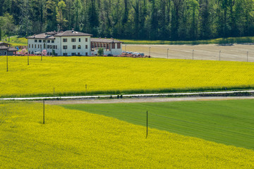 Fototapeta premium Panorama primaverile