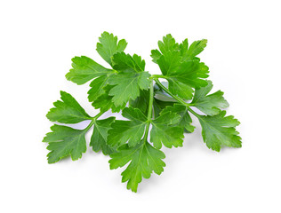 parsley isolated on white background. full depth of field