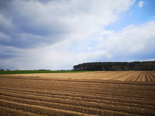 Landschaft