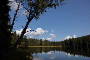 Obraz premium Kleiner Arbersee / Kleiner Arbersee /