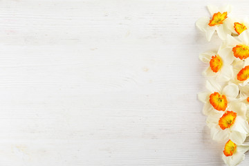 Yellow white daffodil, narcissus, jonquil flower close up composition, background with a lot of copy space for text. Blank template for Mother's day, March 8 women's day, Valentine greeting card.