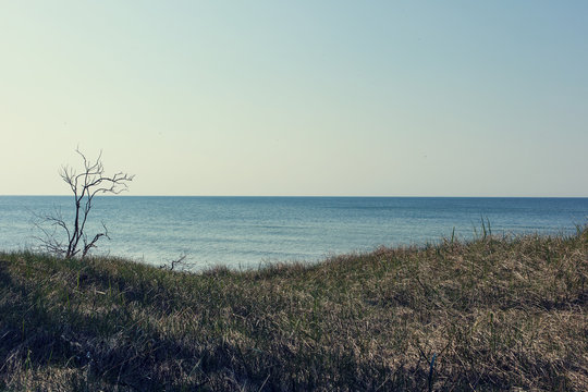 coast view seascape