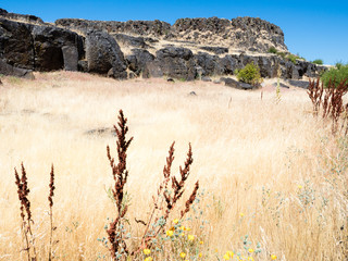 Basalt rocks at Columbia Hills State park - WA, USA