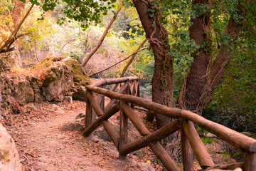 rail mountain forest ravine big stone moss earthen road fence wooden fence, trekking vacation