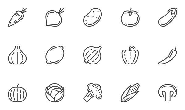 Vegetables Vector Line Icons Set. Greens, Vegies, Vegetarianism, Healthy Food, Cooking. Editable Stroke. 48x48 Pixel Perfect.