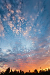 Beautiful clouds at sunrise in nature