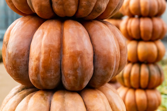 Vertical Pile Orange Big Pumpkin Ribbed Vegetable Tower Close-up Art Vegetable