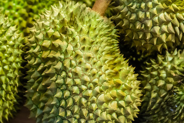 big green spiny fruit strongly smelling smelly, the royal fruit of Thailand. Exotic fruit close-up