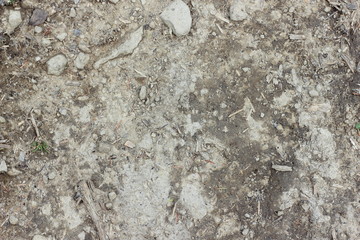 The texture of stony dry gray cracked soil