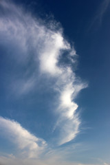 Fototapeta na wymiar Fine wispy cloud forming a shape resembling a side profile of a human face