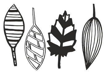 Black and white set of laeves lines