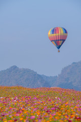 Hot air balloon over cosmos flowers with blue sky