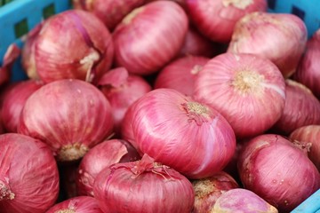 Shallot - asia red onion at street food